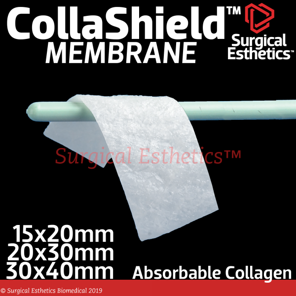 CollaShield Dental Collagen | Surgical Esthetics